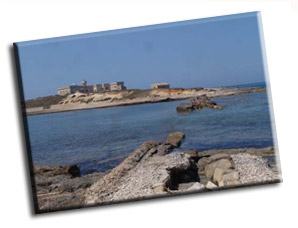 Isola delle Correnti